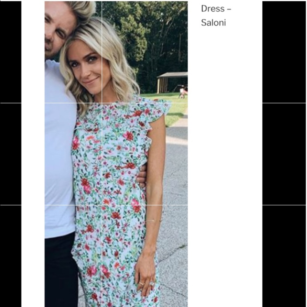 Desperately ISO SALONI Tamara floral dress